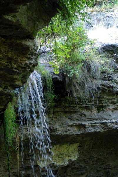 Водопад и его зеленая хозяйка